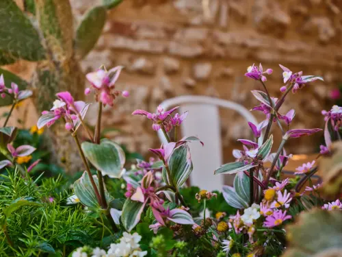 Giardino a Bassa Manutenzione: Guida Pratica