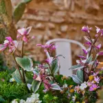 Giardino a Bassa Manutenzione: Guida Pratica