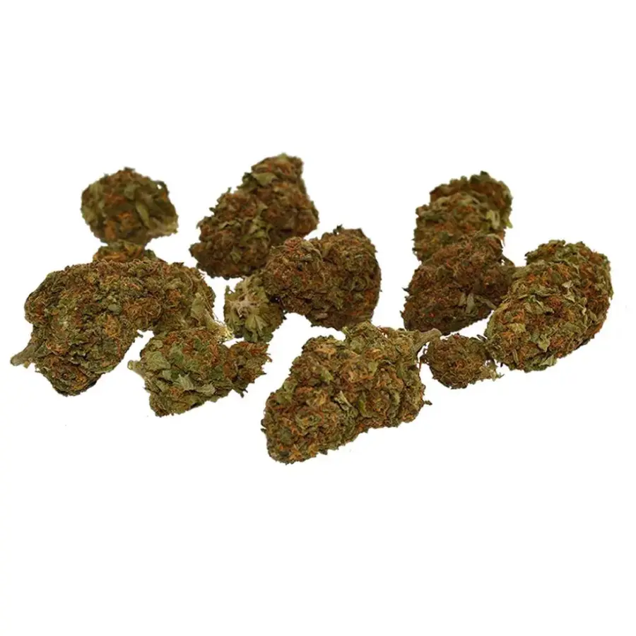 Infiorescenze: differenza tra canapa legale e non