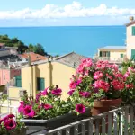 Fiori estivi perenni: quali piantare e come curarli