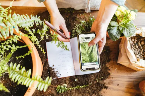 App riconoscimento piante: quali sono e come funzionano