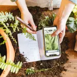 App riconoscimento piante: quali sono e come funzionano
