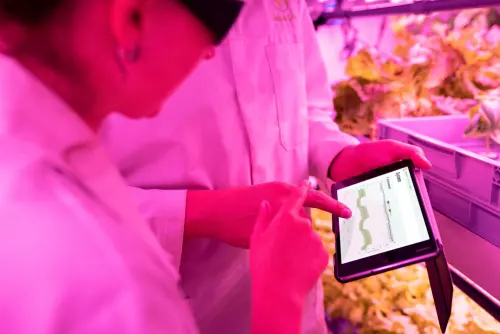 Agricoltura 4.0: tecnologie e applicazioni reali