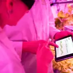 Agricoltura 4.0: tecnologie e applicazioni reali