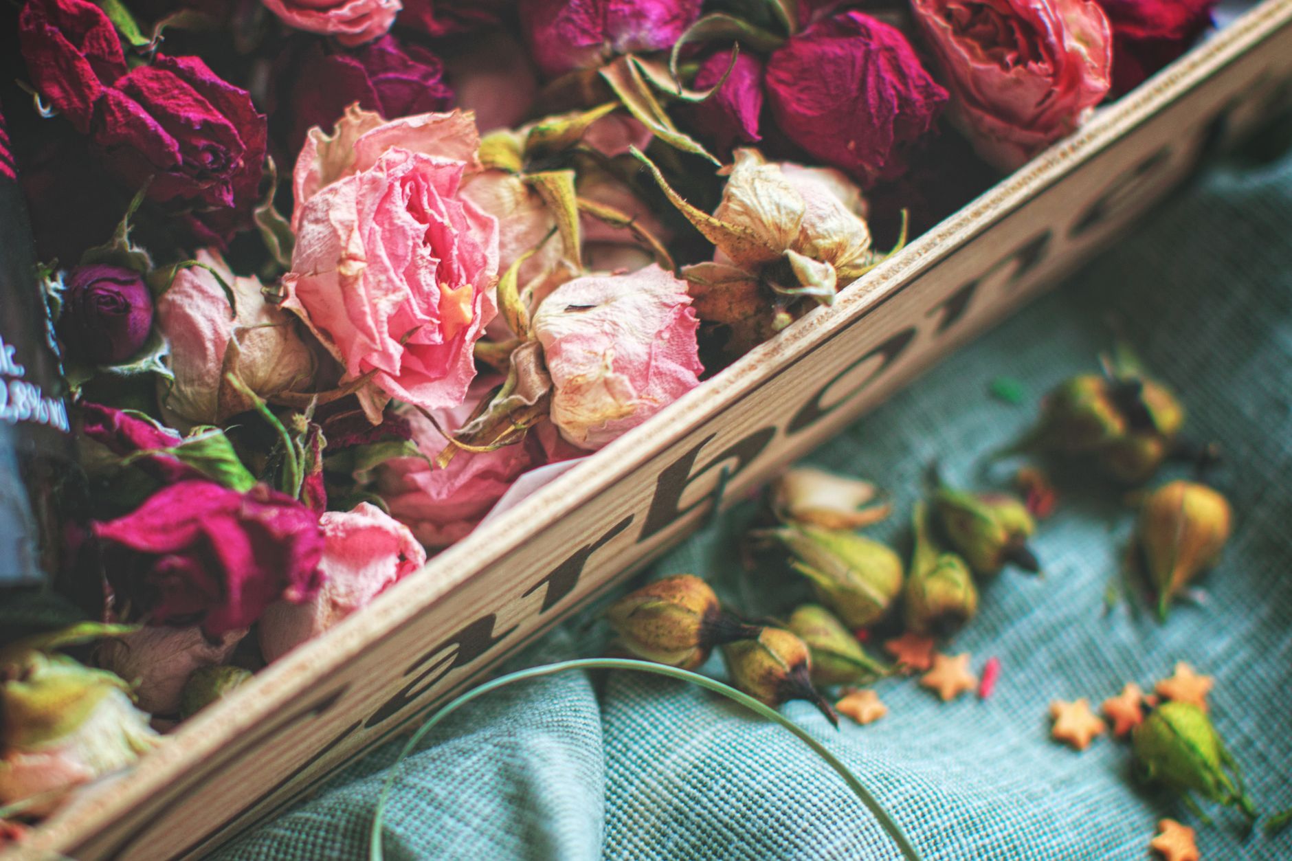 Composizione di fiori: regole di base