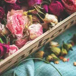 Composizione di fiori: regole di base