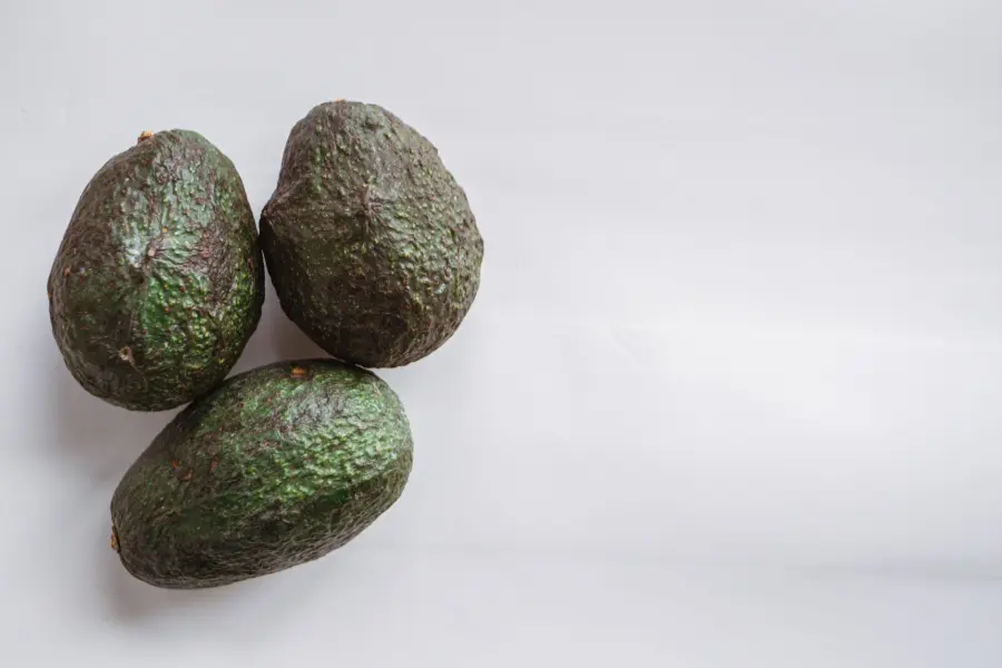 Avocado: coltivare la pianta dal nocciolo in casa