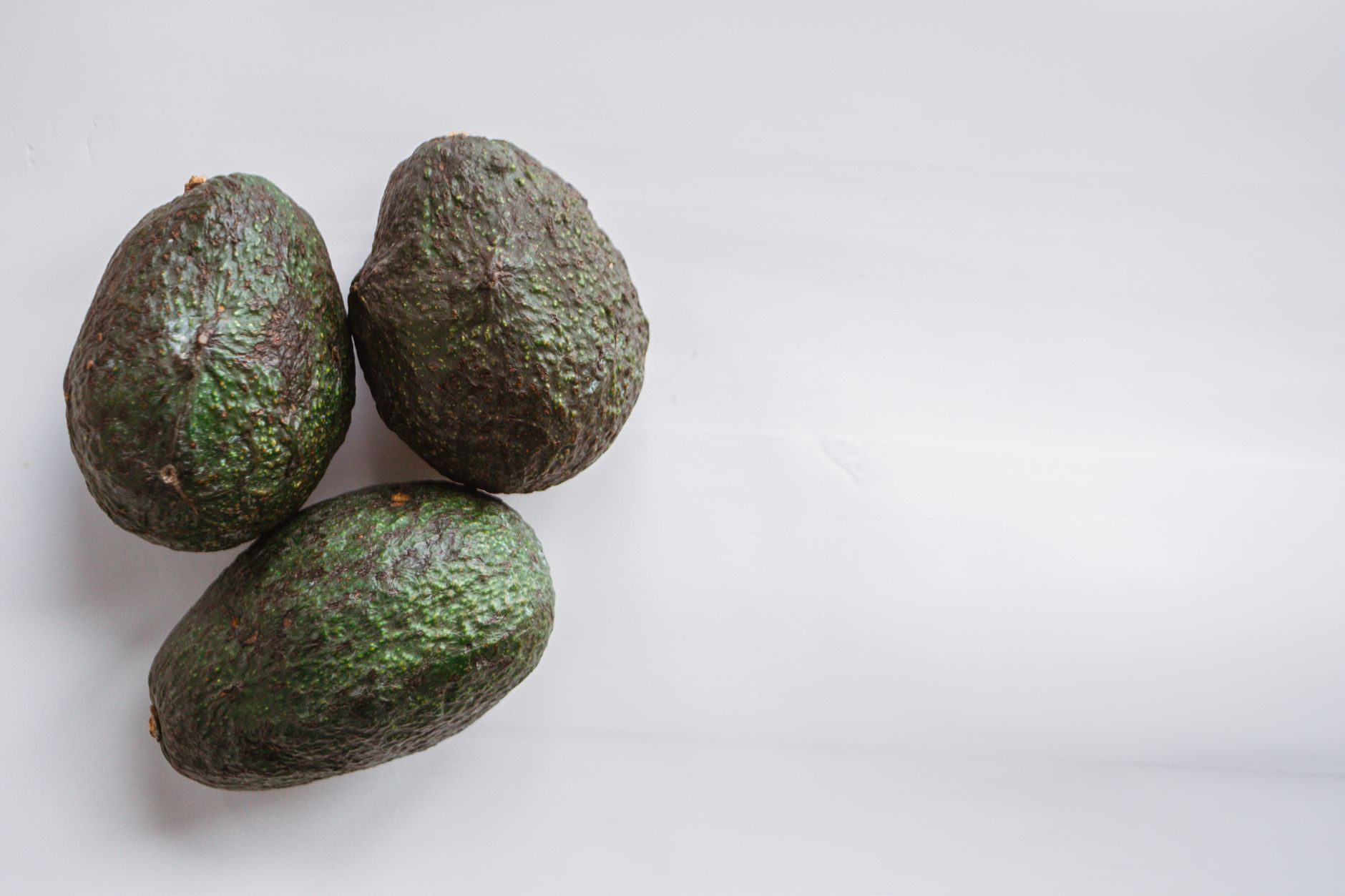 Avocado: coltivare la pianta dal nocciolo in casa
