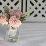 Talea di Rose: guida pratica alla moltiplicazione
