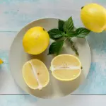 Come potare limoni in vaso: guida pratica 2026