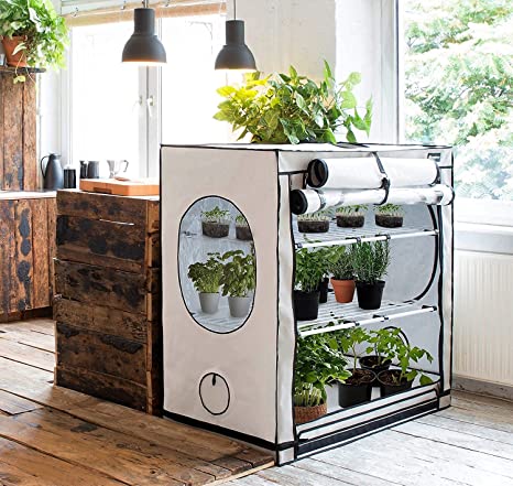 Come costruire una grow box fai da te