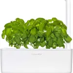 Smart Garden Click and Grow 3: Recensione completa e opinioni