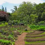 Orto in Permacultura: cosa è e come fare