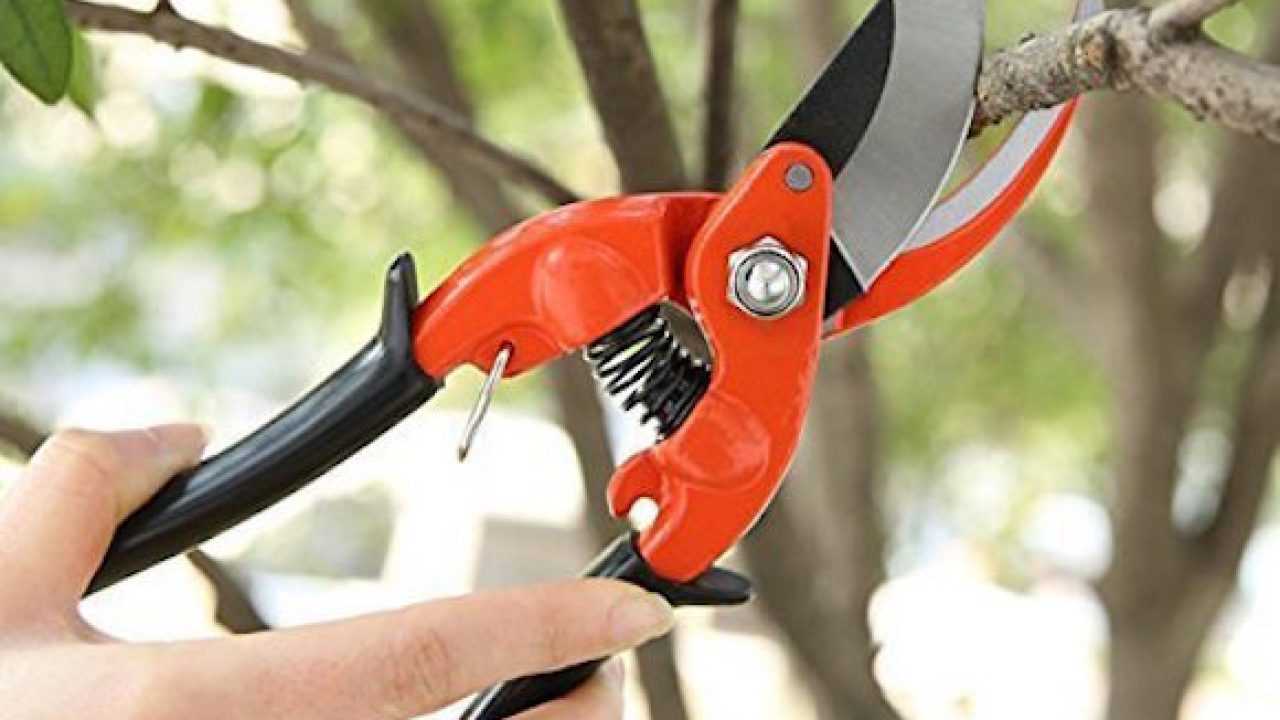 Attrezzi per orto: quali sono i migliori?