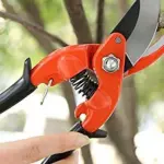 Attrezzi per orto: quali sono i migliori?