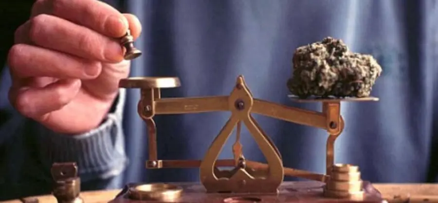 Pesare le infiorescenze: consigli utili