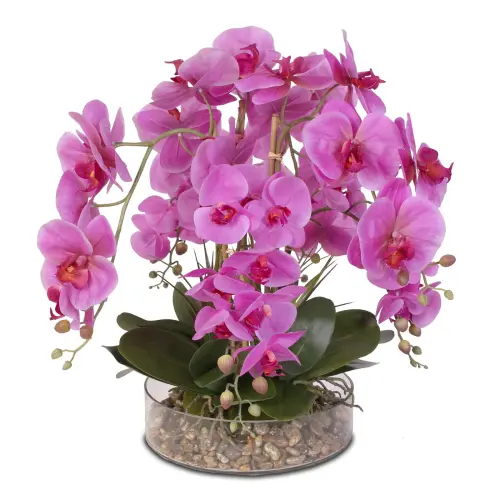 Orchidee in vaso di vetro: consigli e informazioni utili su come coltivare