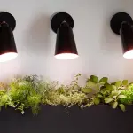 Lampade per la coltivazione delle piante: una scelta importante