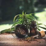 Olio cbd: Quali sono gli effetti collaterali