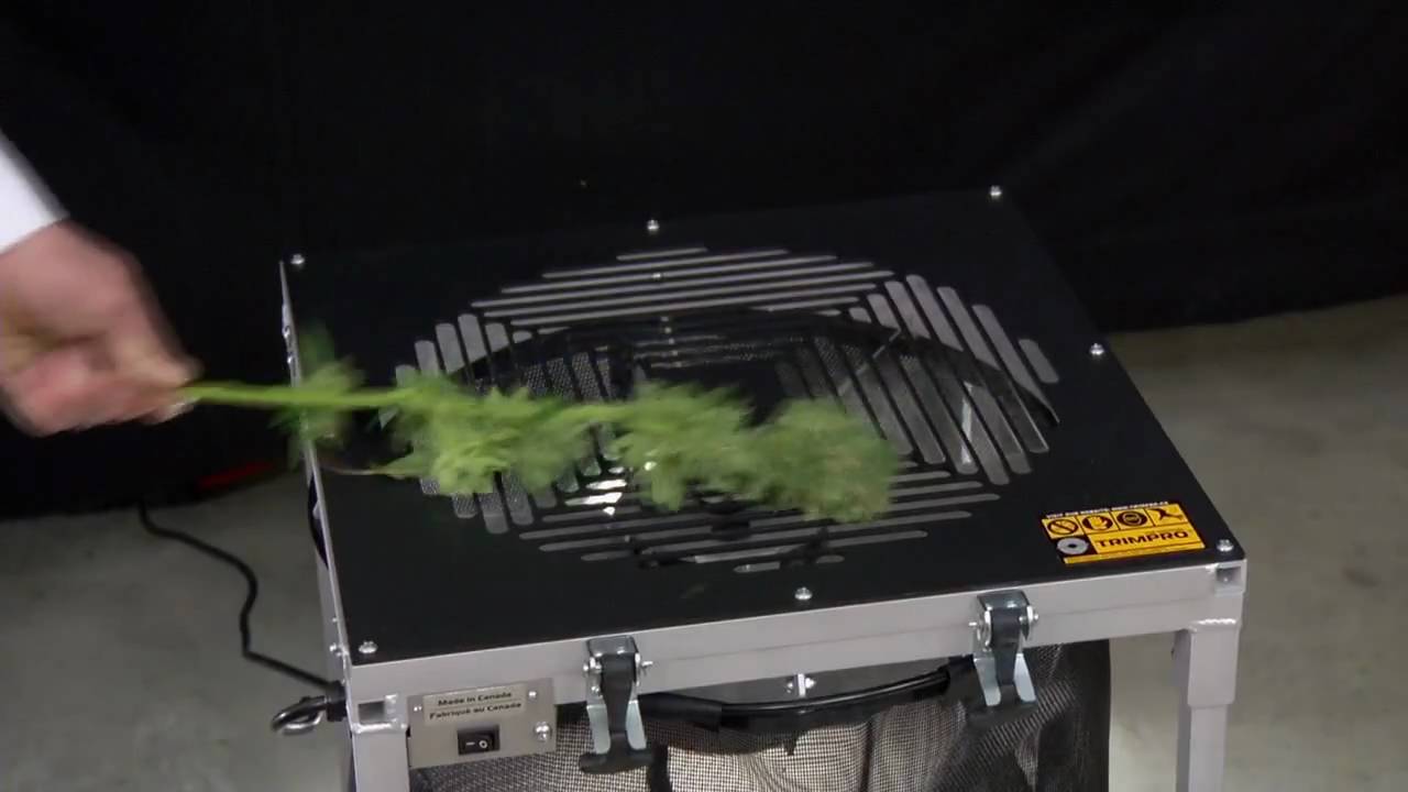 Trimmer canapa: caratteristiche ed uso