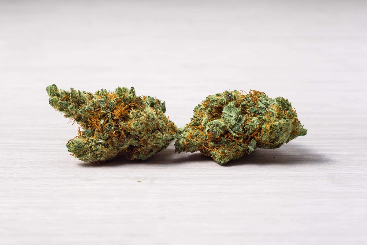 Dove posso comprare Erba OnLine? La situazione Attuale