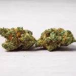 Dove posso comprare Erba OnLine? La situazione Attuale