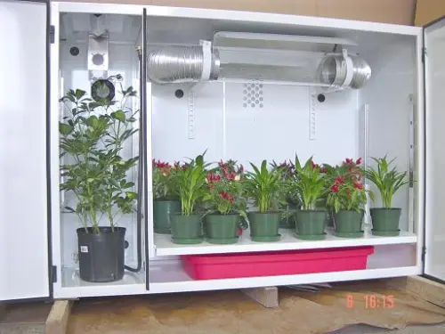 Realizzare una Grow Box nell'armadio? Vediamo Come fare