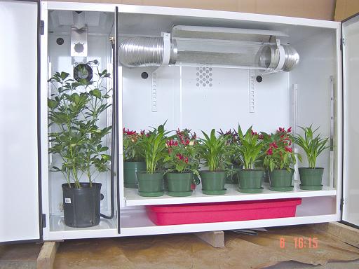 Realizzare una Grow Box nell'armadio? Vediamo Come fare