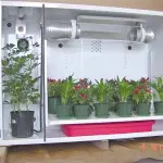 Realizzare una Grow Box nell'armadio? Vediamo Come fare