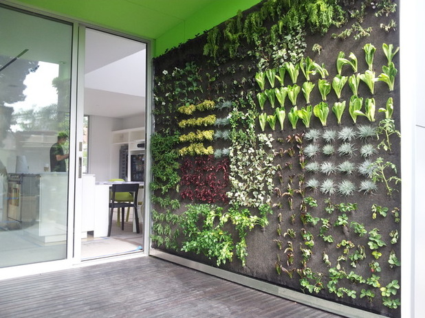 Colture idroponiche per ortaggi: perchè è la scelta del futuro