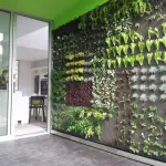 Colture idroponiche per ortaggi: perchè è la scelta del futuro