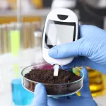 Come si abbassa il pH del terreno?