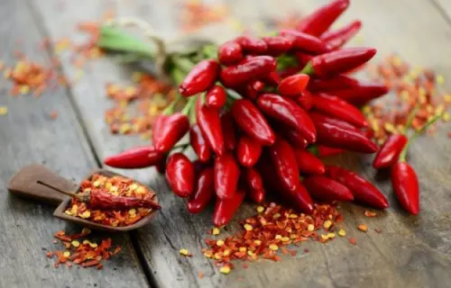 Peperoncino indoor: come coltivare?