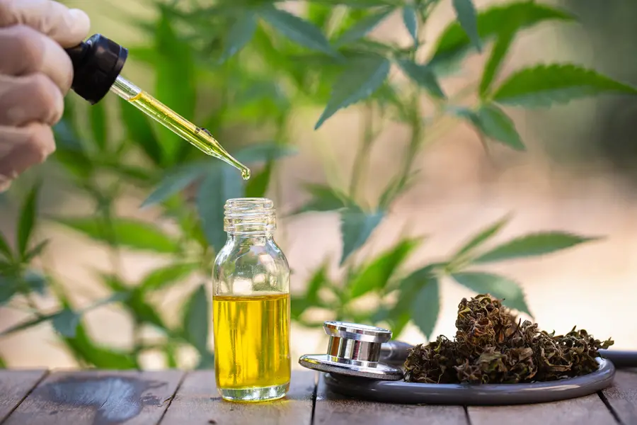 Olio CBD: Cos'è ed i suoi innumerevoli benefici