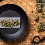 Rollare una canna di erba: Tutti i Passaggi