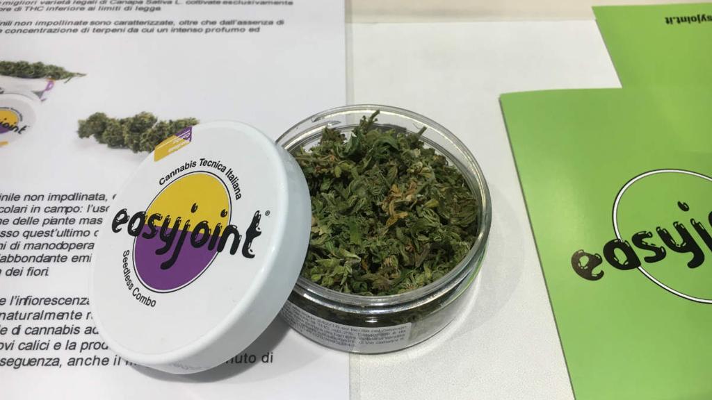Easyjoint: i precursori italiani della Cannabis legalizzata