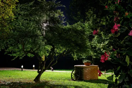 Come progettare un giardino partendo da zero