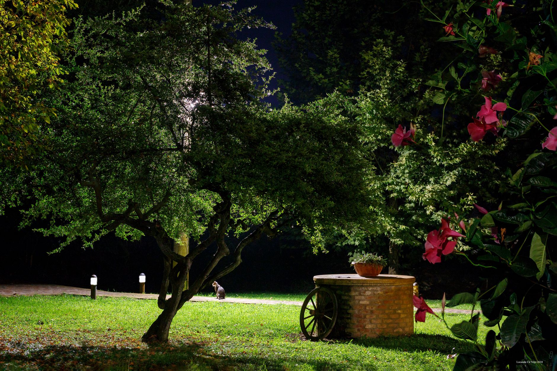 Come progettare un giardino partendo da zero