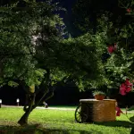 Come progettare un giardino partendo da zero