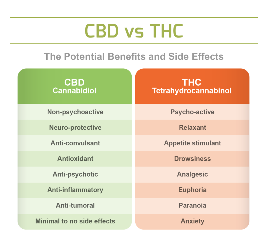 differenza cbd e thc