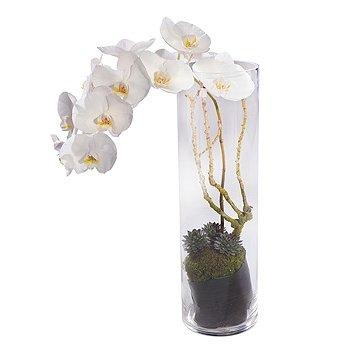 Orchidee in vaso di vetro: consigli e informazioni utili su come