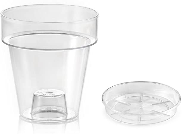 vaso trasparente per orchidee